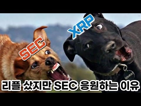 ☾달튜브 — 리플과 미국증권거래위원회의 줄다리기 그 끝은 어디일까?