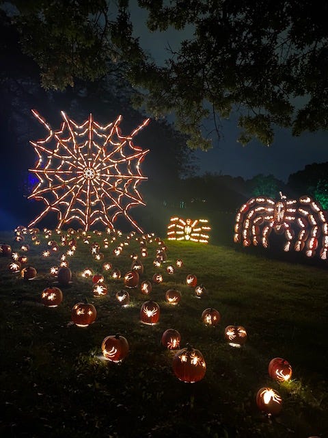 Blaze: A Pumpkin Extravaganza comes to Long Island  by Meagan J. Meehan  Medium