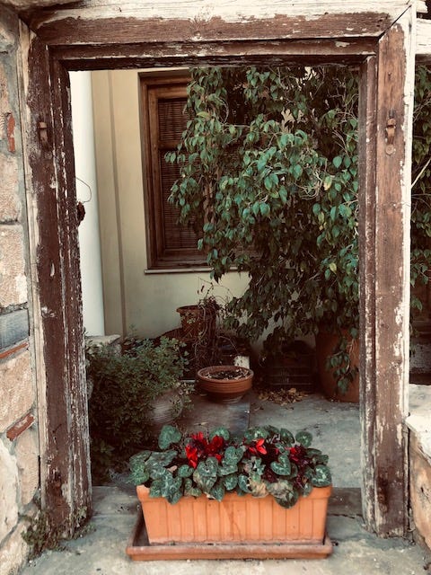 Window Framed. A poem | by Sarah Gall | ILLUMINATION | Apr, 2024 | Medium