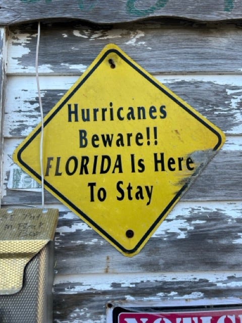 Run from water, Hide from the wind. | by amarie | Medium