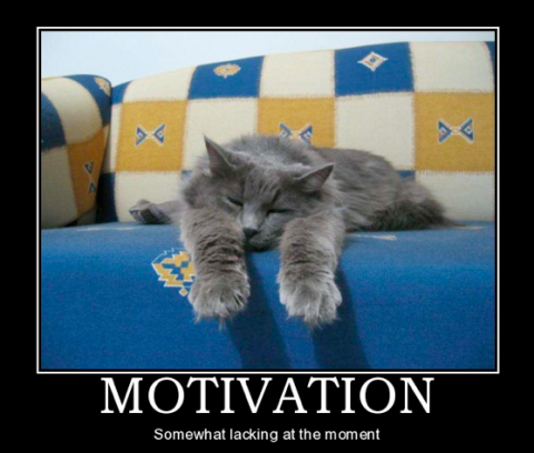 Mewotivational Monday Memes To Get All The Introverted Cats Out Of Bed And  Ready For The Work Week - I Can Has Cheezburger?