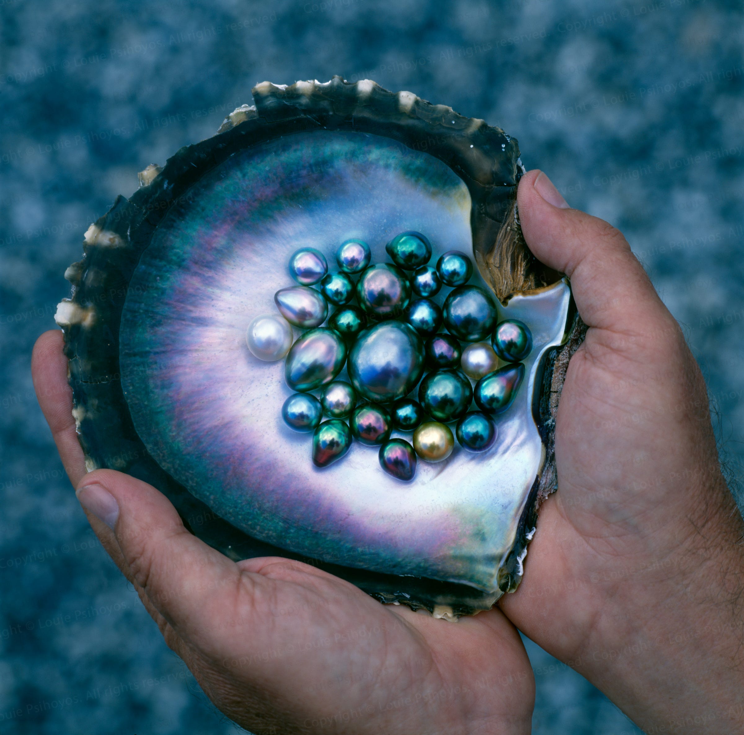 How an oyster builds a perfectly round pearl