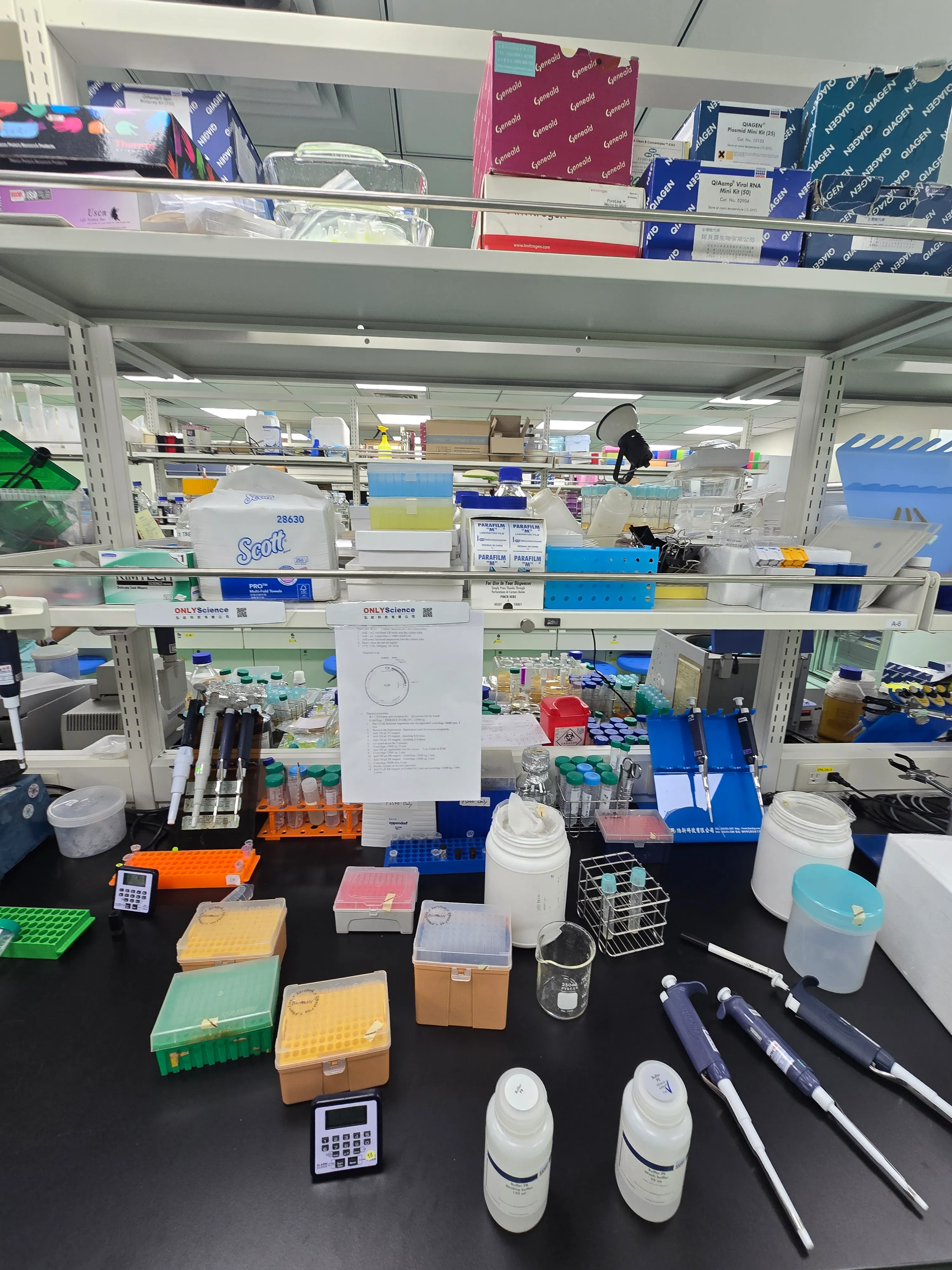 NYCU Biophysics and Biosensor Lab