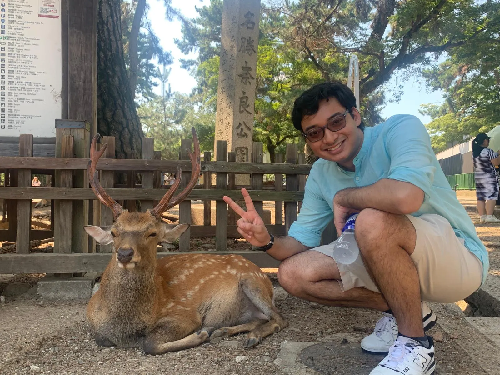 Saying Hello to Deer in Nara