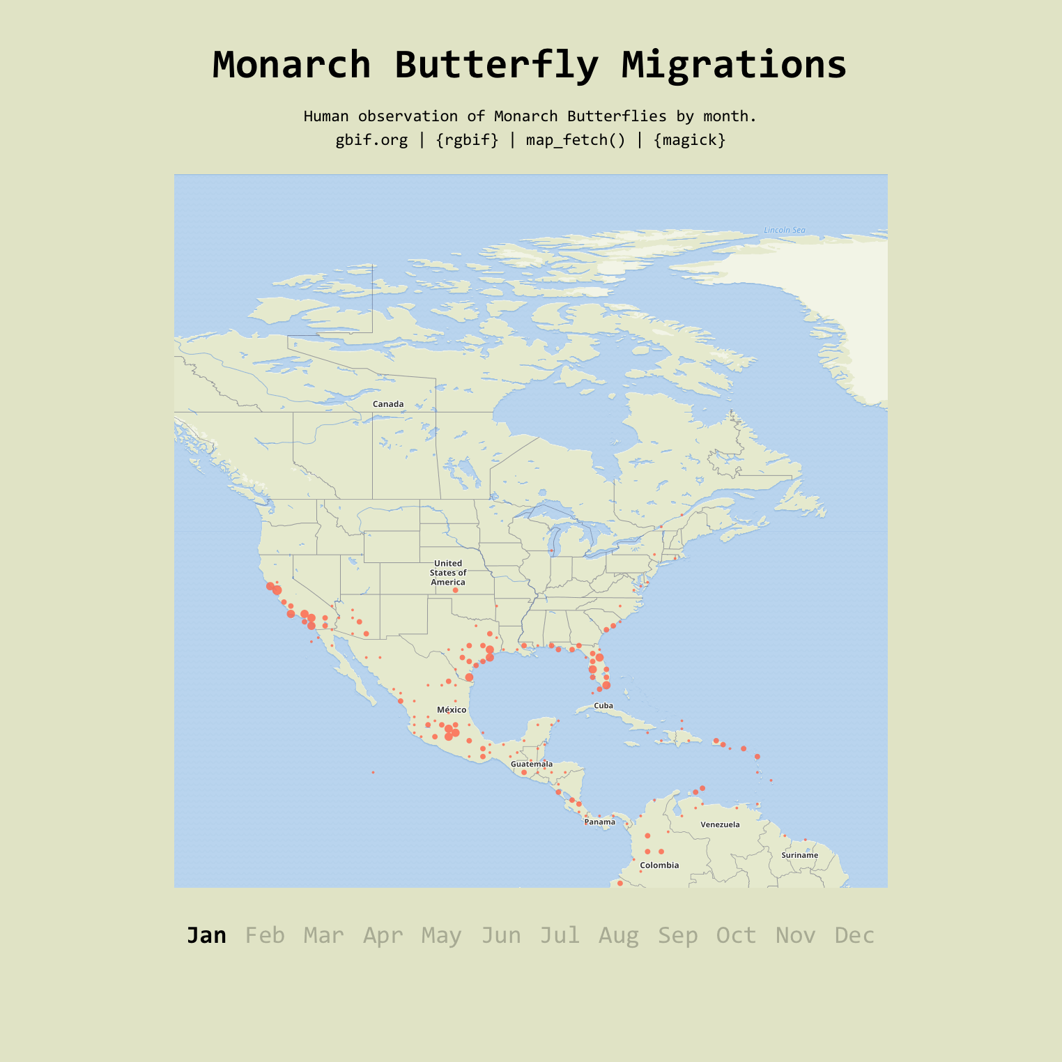 Monarch Butterfly Migrations