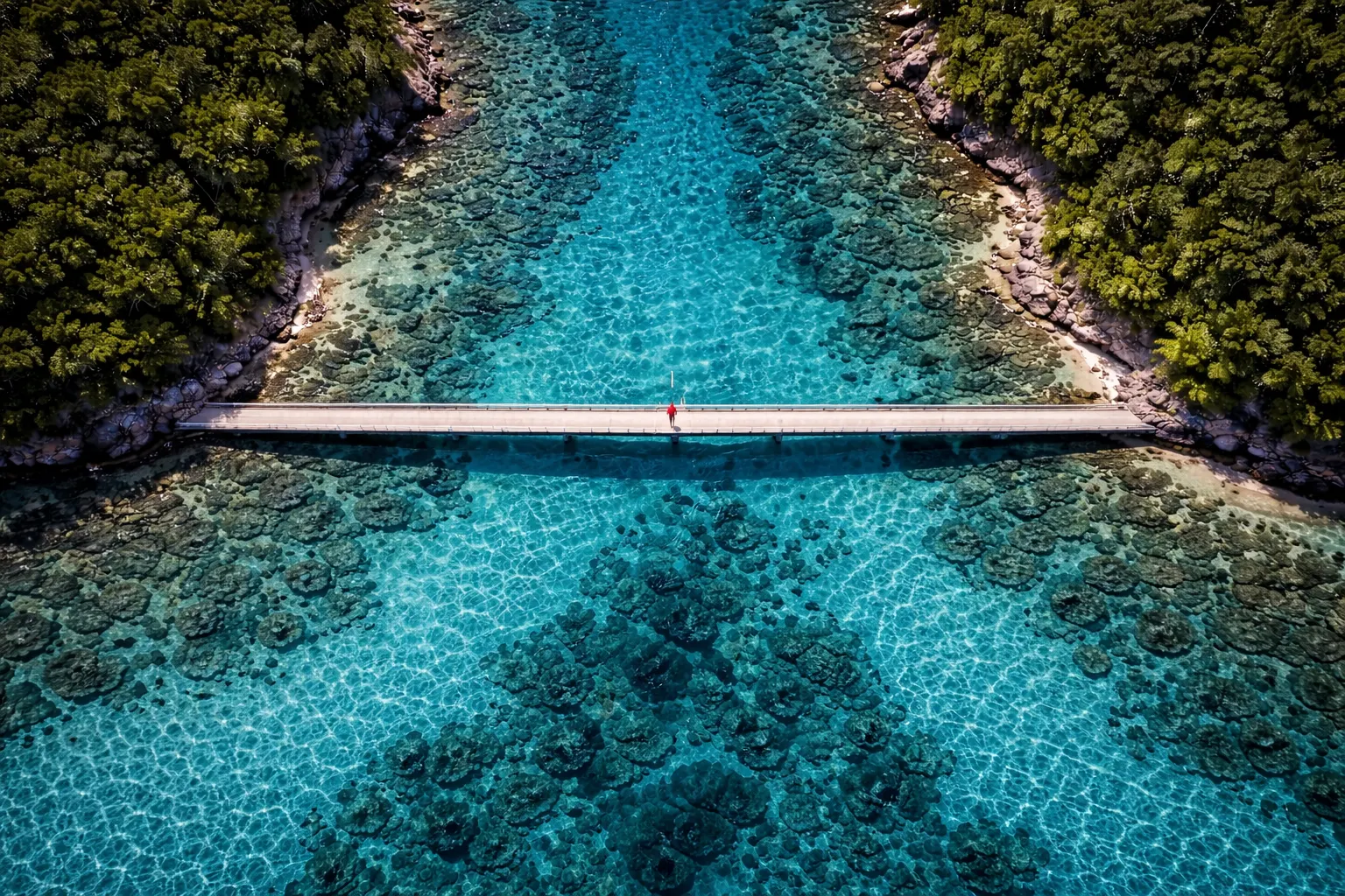 The Buyer In Between — Fearless Words