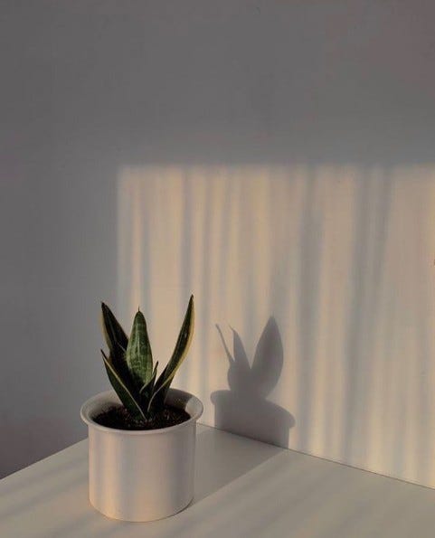 “HOW INHUMAN CAN YOU BE?