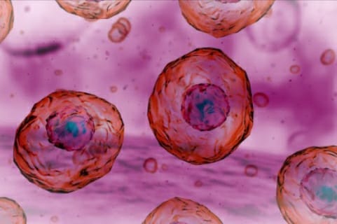 Medicina — Le cause molecolari del cancro e la vera ed efficace terapia da ricercarsi…