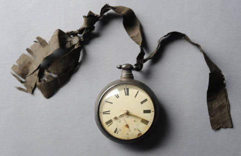 The microbial clock tells the time of death | by eLife | Life on Earth ...