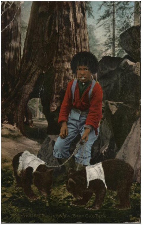“1901 Indian Boy and his bear cub pets.” Note the hair style of this young man. Post card published by Edw. H. Mitchell, a prolific San Francisco-based publisher.