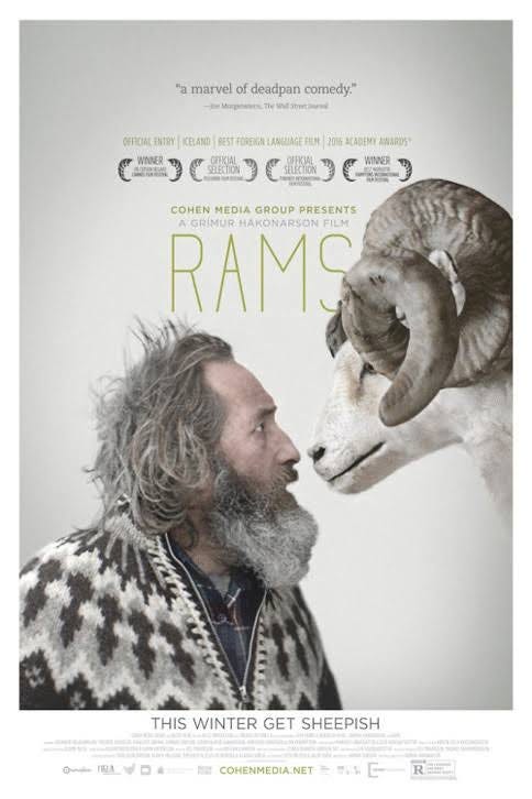 IFFK 2015 — Movie Review- Rams/Hrúta