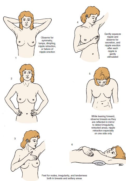 How to Increase Your Boobs: A Guide to Increasing the Size of Your