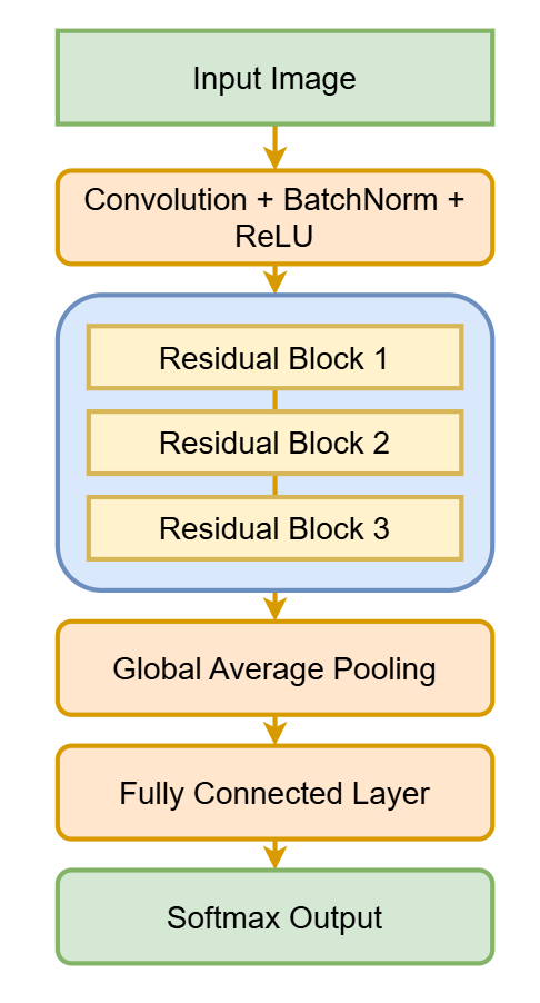 ResNet18 in Medical Imaging: Why Deep Residual Networks See What We Miss