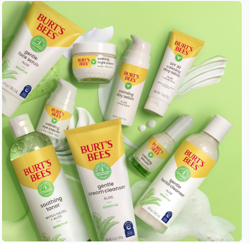 Nurturing Nature's Bounty: 6 Sustainable Practices for Forest Living