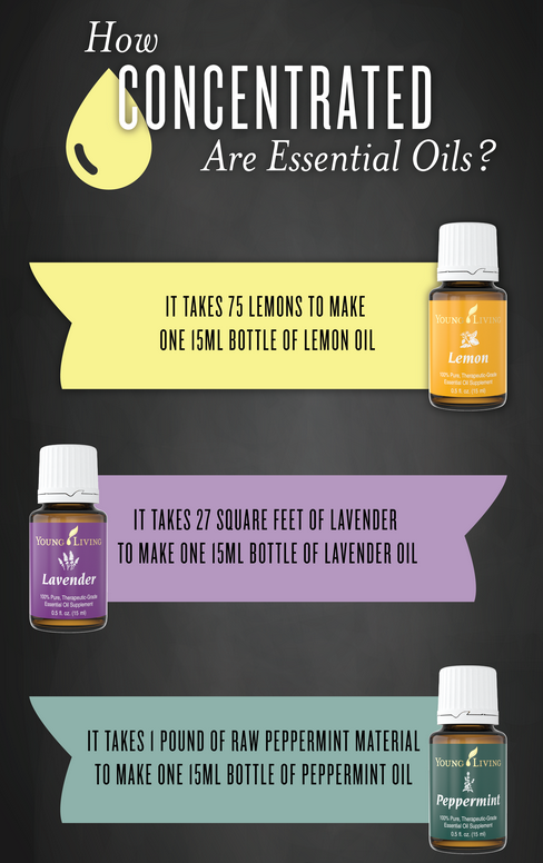 The Ultimate Essential Oil Resource List: Really Useful References For ...