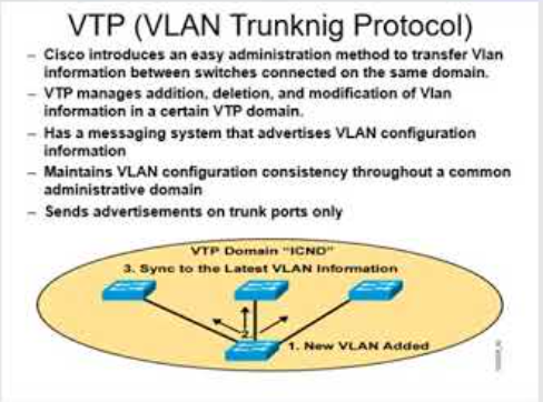 💡 DTP vs VTP — The VLAN Dream Team!