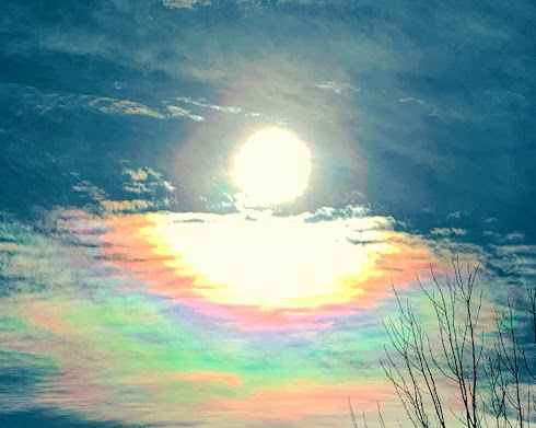 Heart of the Sun: The Painful Purification of Adoption Truth