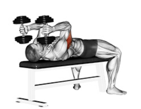 6 Best Dumbbell Tricep Exercises Boosted My Pressing Power