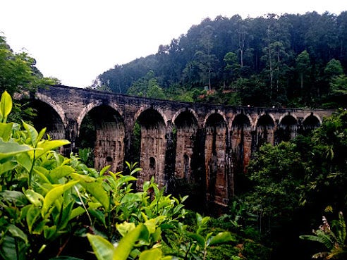 🌿 Discover the Beauty of Ella Srilanka — A Must-Visit Travel Paradise 🌿