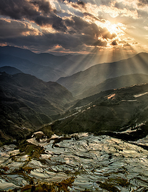 Sunset at Tiger Mouth rice terraces, Yuanyang, China