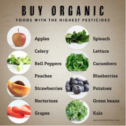 Organic food samples