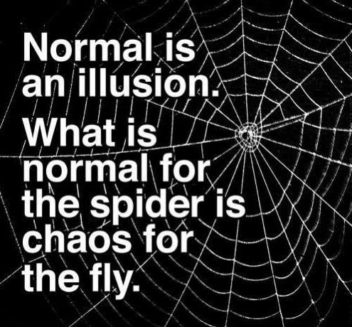 Normal is an illusion.. The terms good and bad are often used… | by ...