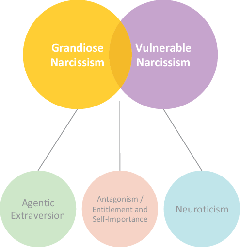 The Neuroscience of Narcissism. Narcissism is a popular word being