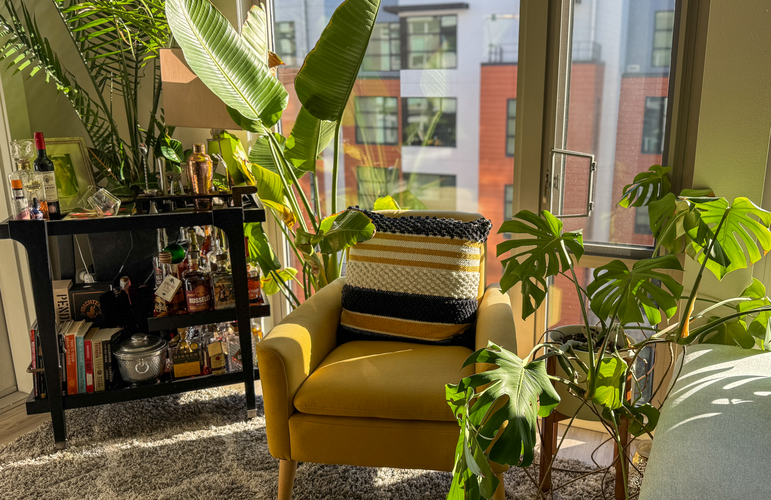 Why I love Mission Bay