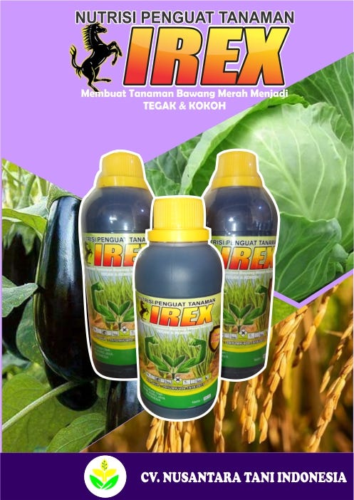 WA 085850101115-READY STOCK NUTRISI ANTI MACET TANAMAN KENTANG DI PACITAN