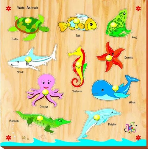 10 Animals That Live in the Water