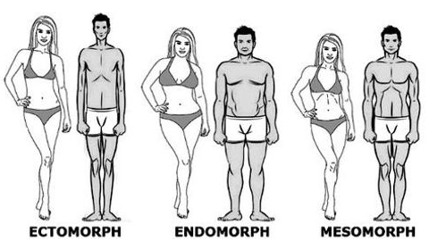 Ectomorph, Endomorph, Mesomorph: The Inaccurate (and Racist) Myth of  Somatypes, by Ask a dork!