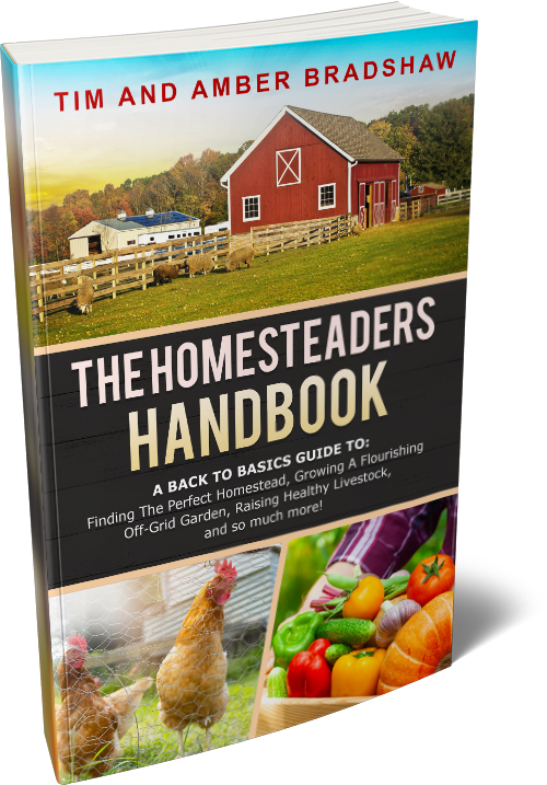 Homestead Kitchen: 7 Essential Tools - An Off Grid Life