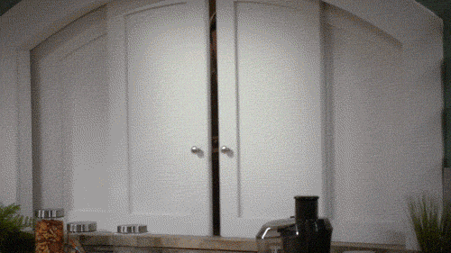 Source: giphy.com