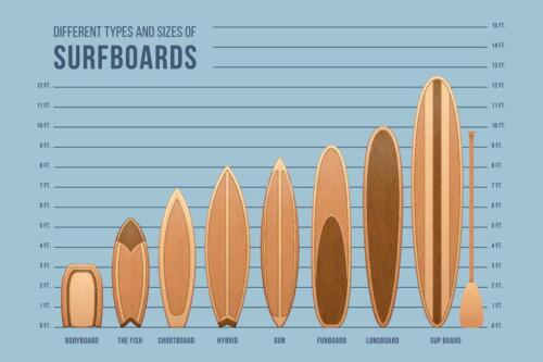 How do you determine the right size surfboard to use? | by Surfboard Soks |  Medium