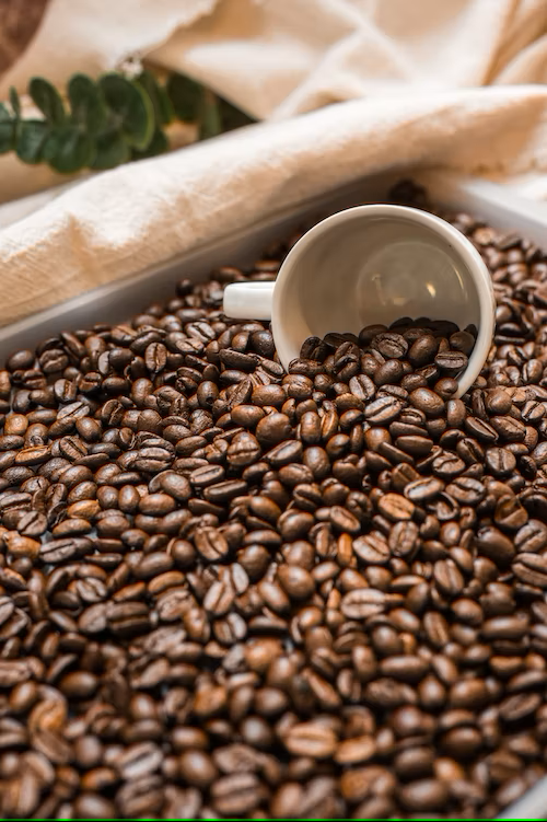 Can You Eat Coffee Beans. Millions of people around the globe… by