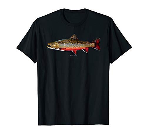 Nocturnal Natives: Travel to Maine for Brook Trout Fishing at night