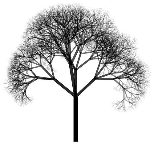 [Python Beginner][DIY] Make Fractal Trees | by Abhinav Mahapatra | Medium