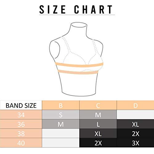 LAMAZE Maternity Women’s Seamless Comfort and Nursing Bra, White, Large
