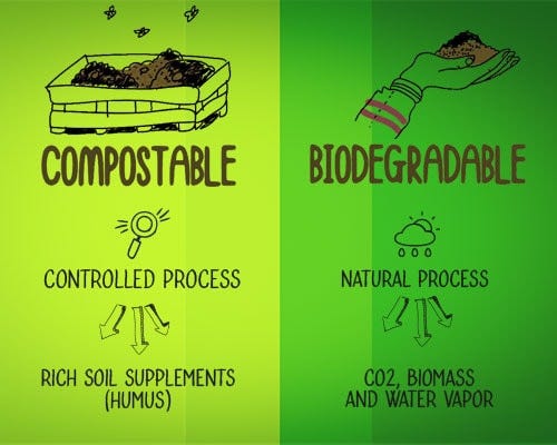 Biodegradable vs Compostable. When I first started learning about… | by ...