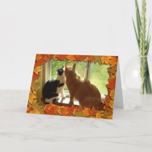 Best Deals! Thanksgiving Kittens Holiday Card for 4.72 Toyaza Medium