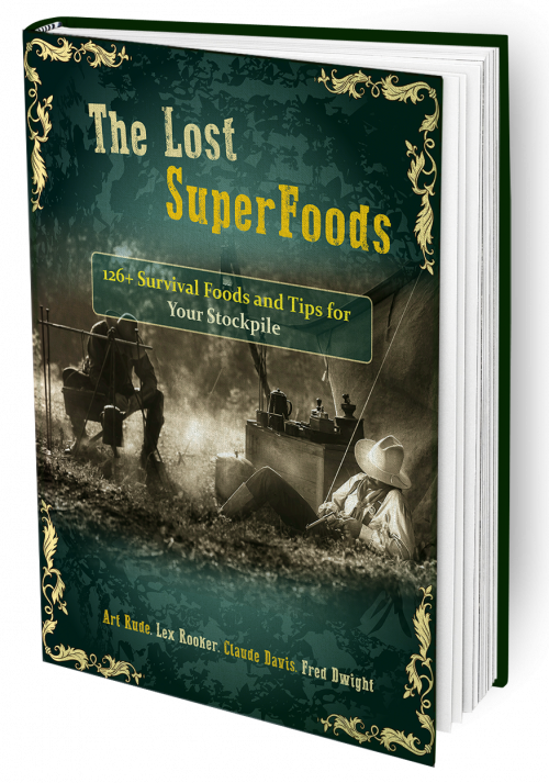 The Lost SuperFoods Book. **Discovering The Lost SuperFoods… by Ray Aug, 2023 Medium