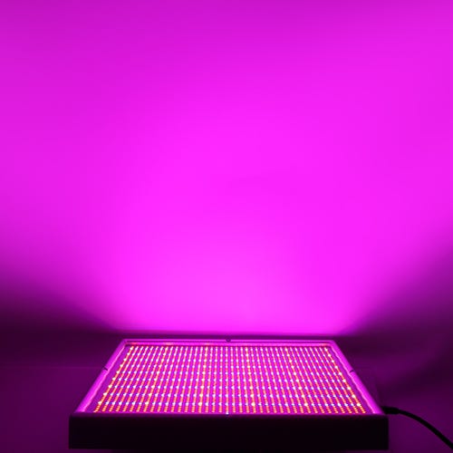 Important! Two Major Effects 730nm Far-Red LEDs On Plants Growth by LED sinjia | Medium