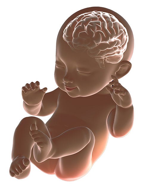 Babies Have Big Heads to Hold Rapidly Growing Brain by Vidhi Mystery