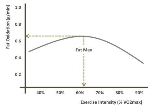 For the love of bellyfat : My experiments with fasted and non-carb replenishing runs