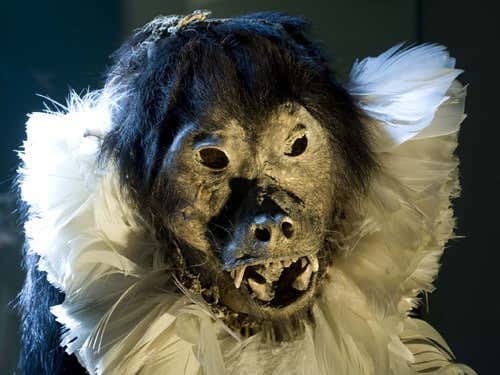 Gran Chaco mummy. Credit: New Scientist, 2010
