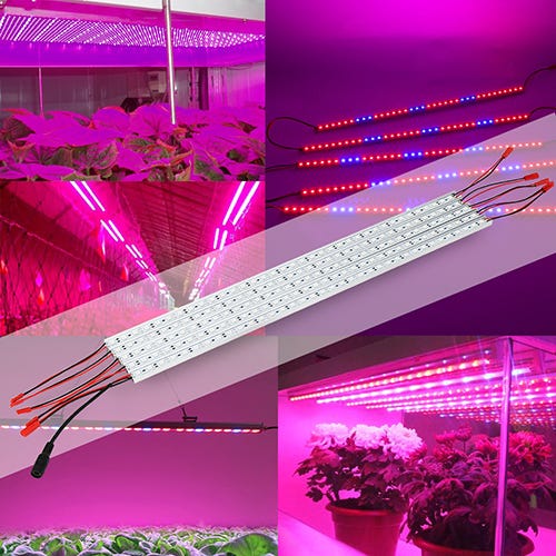 The Following Things About LED Grow Strip Lights That You Must Know! | by  LED sinjia | Medium