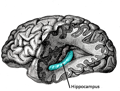 Complex Contraptions. A general theory of mental illness | by Arthur ...