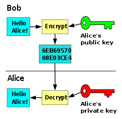 Texto Da Escrita Que Escreve Shell Comanalysisd Injection Significado Do  Conceito Usado Por Hacker Para Executar Comanalysisds Do Ilustração Stock -  Ilustração de programas, rede: 137144853