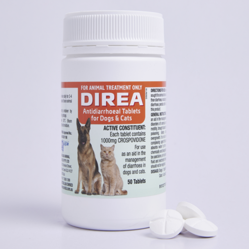 Effective Dog Diarrhea Treatment Options | Gaiapetshop.com - Gaia Pets ...