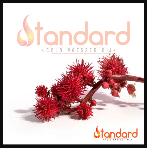 BENEFITS OF COLD PRESSED CASTOR OIL | by Standardcoldpressedoil.com